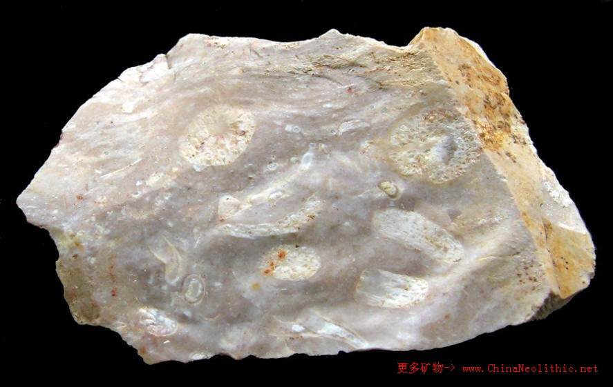 >> 矿物图片 >> 燧石-chert