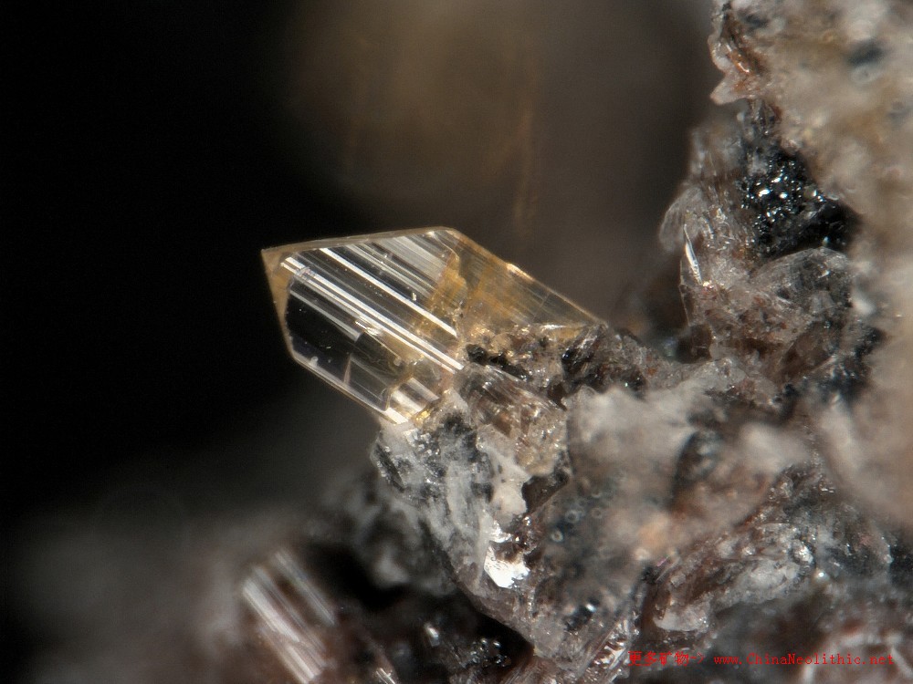 >> 矿物图片 >> 镁橄榄石-forsterite