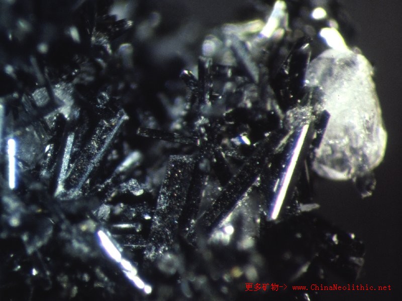 矿物图片镁角闪石magnesiohornblende