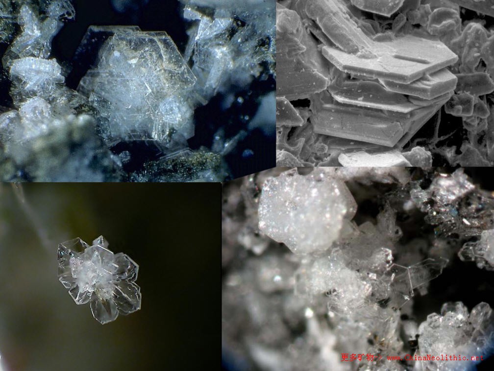 >> 矿物图片 >> 鳞石英-tridymite