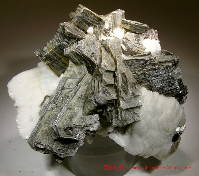 >> 矿物图片 >> 白云母-muscovite