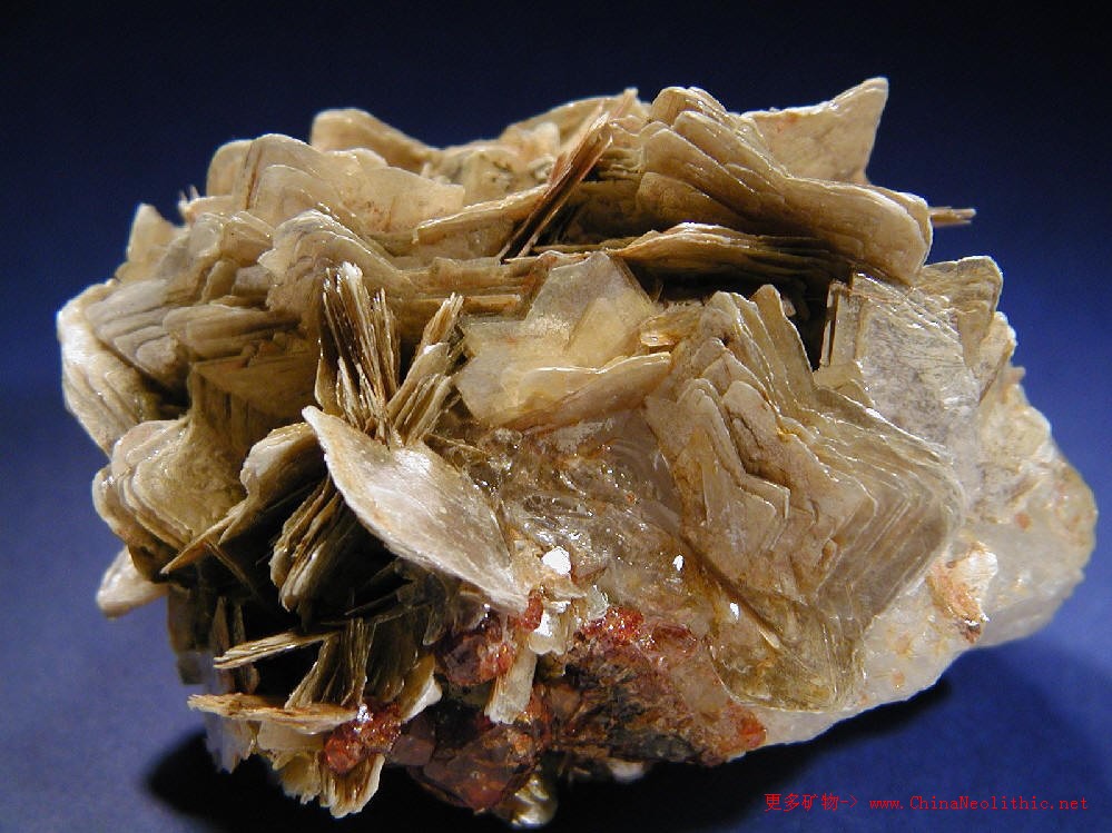 >> 矿物图片 >> 白云母-muscovite