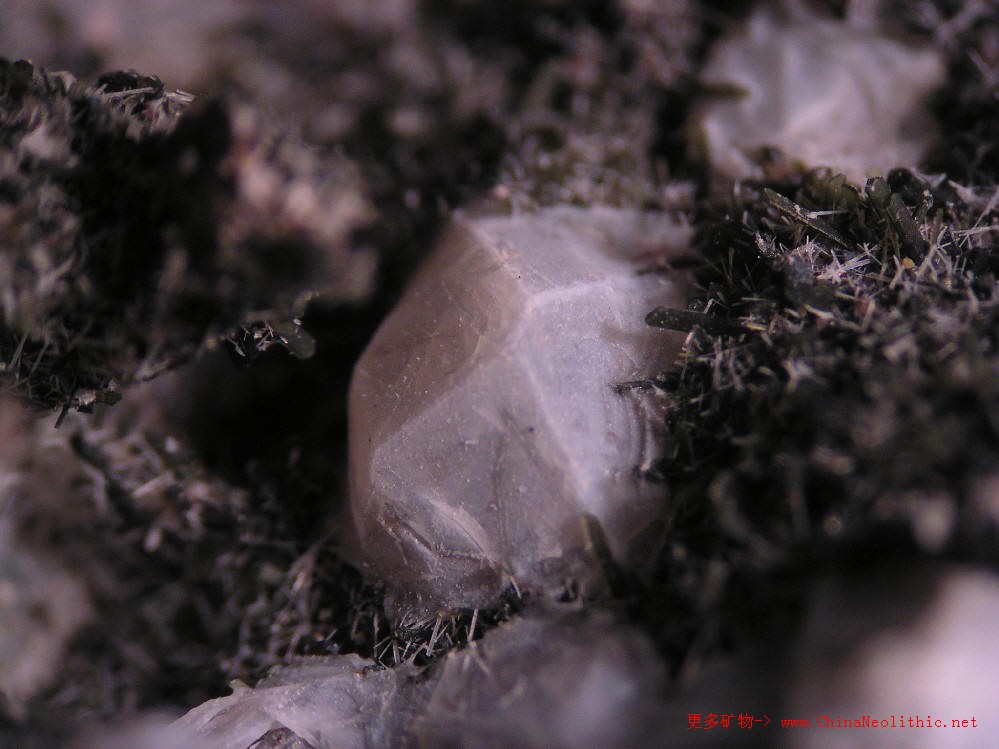 >> 矿物图片 >> 白石榴子石/白榴石-leucite