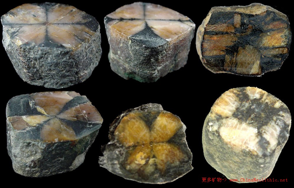 >> 矿物图片 >> 空晶石-chiastolite