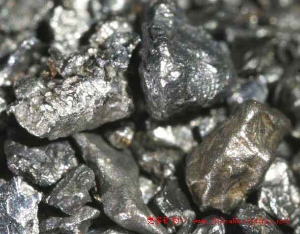 >> 矿物图片 >> 铱锇矿-osmiridium