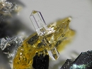 Fluorapatite1342