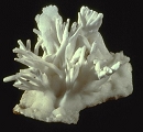 Aragonite4253