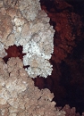 Aragonite4293