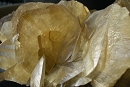 Gypsum5403