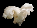 Gypsum5421