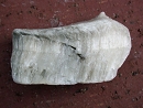 Gypsum5438