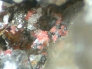 Erythrite287