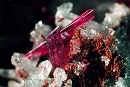 Erythrite308