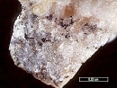 Polylithionite7289
