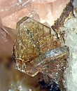 Polylithionite7306