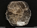 Polylithionite7310