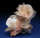 Polylithionite7311