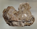 Polylithionite7315