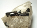 Schorl1761