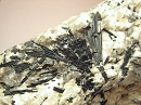 Schorl1786