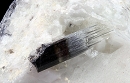 Schorl1808