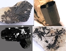 Schorl1902