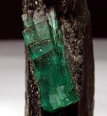 Emerald7817