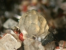 Leucite6540