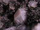 Leucite6585