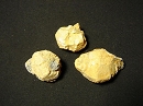 Leucite6589