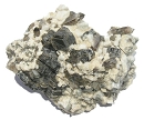 Biotite799