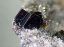 Biotite844