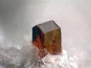 Biotite848