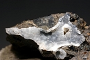 Phillipsite1767