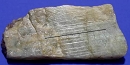 Plagioclase4004