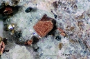 Orthorhombic Pyroxene4933
