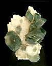 Hydroxyapatite5342