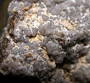 Hydroxyapatite5425