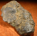 Molybdenite5947