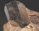 Monazite6283