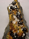 Jacobsite8776