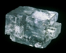 Halite4372