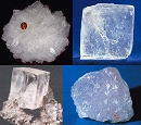 Halite4412