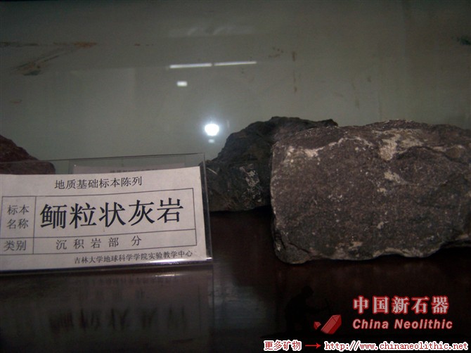 鲕粒灰岩,oolite