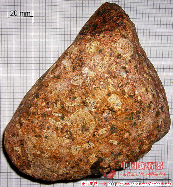 奥长环斑花岗岩-rapakivi-地质-岩石-矿物-矿石-标本-高清图片-中国新