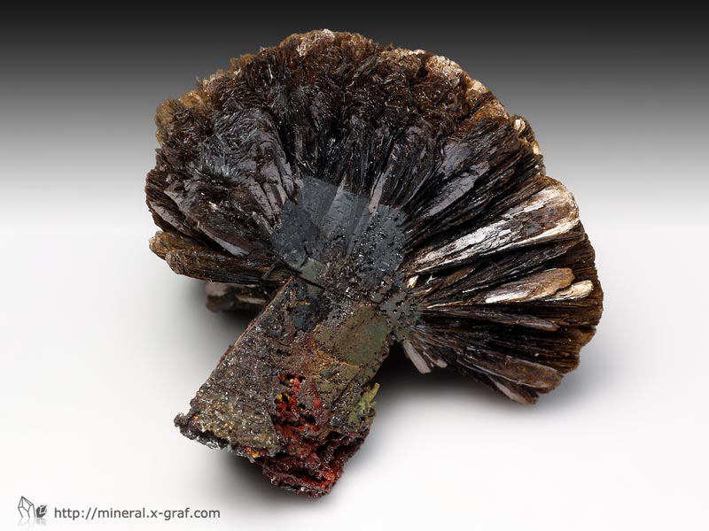 针铁矿 goethite