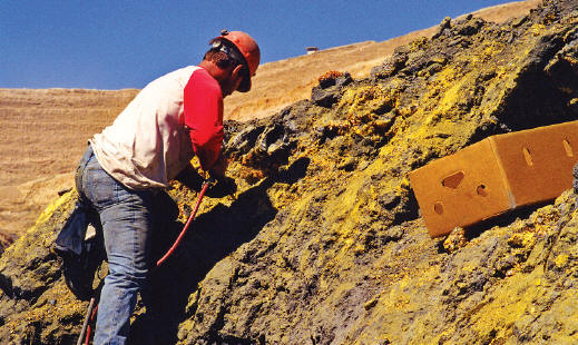 Collecting orpiment specimens in the pocket-rich zone. Collector’s Edge photo.