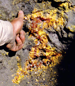 Pocket with orpiment crystals in situ. Collector's Edge photo.