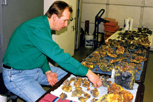 Bryan Lees examining specimens in Collector’s Edge lab.