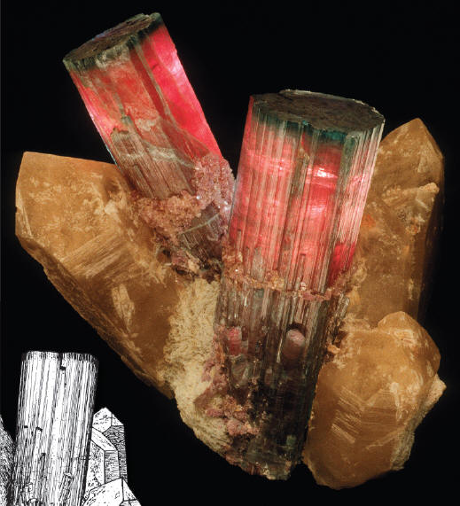 Photo and drawing of the big, 22.6 cm tall, specimen of tourmaline with quartz. Specimen was recently trimmed, see lower right photo on the page 5. S. Rudolph specimen. 